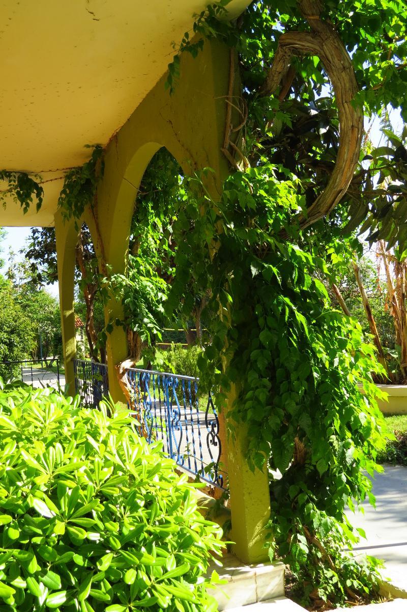Petaloudes Maritime Hotel Apartments المظهر الخارجي الصورة